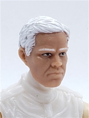 Male Head: "LOGAN" Light Skin Tone with WHITE Hair - 1:18 Scale MTF Accessory for 3-3/4" Action Figures